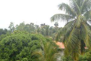 Foto sihtkohas Galle asuva majutusasutuse One C Hostel galeriist
