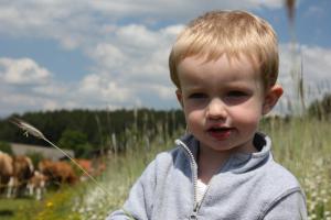 Börn sem dvelja á Wachahof