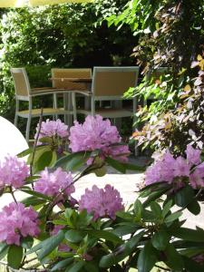 Ein paar rosa Blumen vor einem Tisch und Stühlen in der Unterkunft Hotel Kolb in Zeil