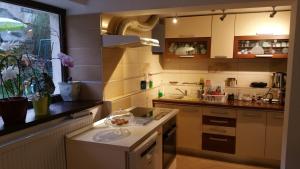 eine Küche mit einer Theke mit einer Schüssel auf der Insel in der Unterkunft Casa Bergwald in Râșnov