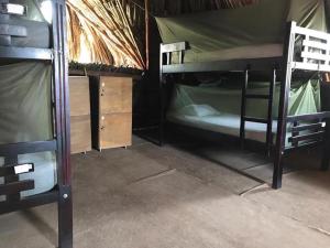 Krevet ili kreveti na sprat u jedinici u okviru objekta Palomino Breeze Hostal