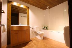 a bathroom with a toilet and a sink and a tub at Apartaments Piteus Casa Dionis in Sant Llorenç de Morunys