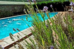 Bazén v ubytování Chalet "Rec dels Noguers" nebo v jeho okolí