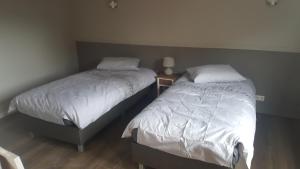Giường trong phòng chung tại Het Zwanennest