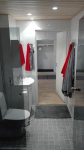 ロヴァニエミにあるArctic Star Railwaystation-free parkingのバスルーム(シャワー、トイレ、シンク付)