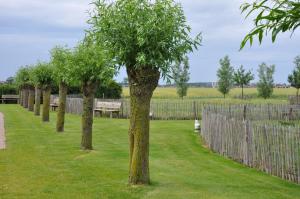 Zahrada ubytování B&B Knotwilgenhoeve