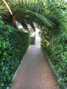 uma passagem através de um jardim com uma palmeira em Residence IL PORTO em Fano