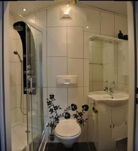 e bagno con doccia, servizi igienici e lavandino. di Haus Zimmermann a St. Wolfgang