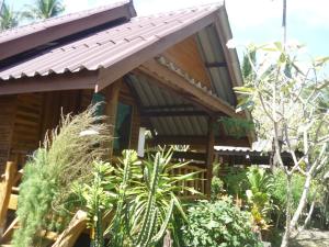 Zahrada ubytování Pasai Beach Lodge