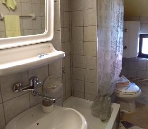 a bathroom with a sink and a toilet and a mirror at Villa Bozovic in Zlatibor +82 photos