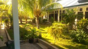 vistas a un patio con palmeras y a un edificio en Bintang Wisata Riung en Riung