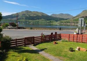 a fence with a dog laying on the grass near a body of water at Armadale Cottage in Lochgoilhead