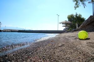 una bola amarilla sentada en una playa junto al agua en Amaryllis Holiday Home en Agios Spiridon Fokidas