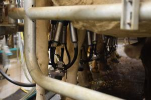 Kép Ferienwohnungen Reinalter szállásáról Kapplban a galériában