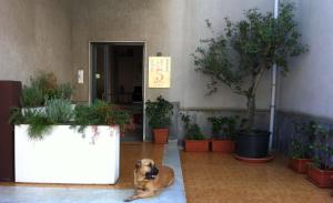 Foto dalla galleria di B&B 5 Sensi a Belpasso
