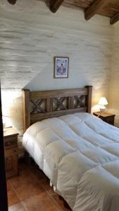 a bedroom with a large white bed in a room at Cabaña del Alto Tupungato in Tupungato +62 photos
