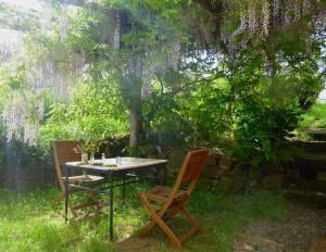 una mesa y dos sillas sentadas bajo un árbol en Podere di Maggio - Seccatoio, en Santa Fiora