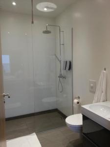 a bathroom with a shower and a toilet and a sink at Díma Studio Apartments in Höfn