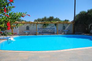 The swimming pool at or close to Hotel Marina Village