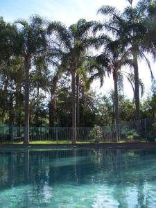 a swimming pool with palm trees and a fence at Abcot Inn in Sylvania