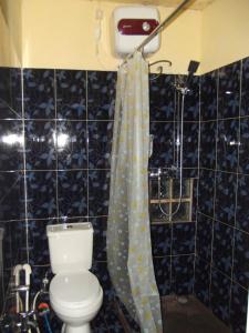 a bathroom with a toilet and a shower curtain at Bule Homestay Cianjur in Tjiandjur