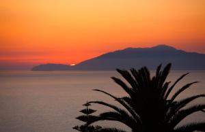 a sunset over the ocean with a palm tree in the foreground at Hotel Il Girasole in Anacapri