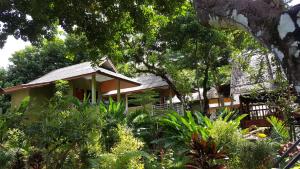 
a green and white house in a wooded area at Khao Sok Jungle Huts Resort in Khao Sok National Park
