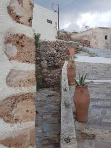 deux vases assis à côté d'un mur de pierre dans l'établissement Tania village Zakros maisonette, à Zakros