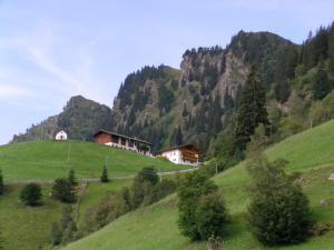 a green hill with a house on the side of a mountain at Joglerhof in Racines