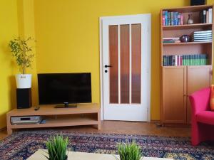 a living room with a tv and a yellow wall at Garden Apartment Donau-City (P&R) in Vienna