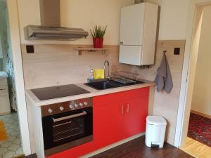 Kuchnia lub aneks kuchenny w obiekcie Garden Apartment Donau-City (P&R)