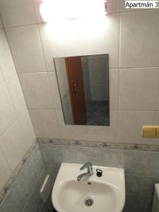 Kúpeľňa v ubytovaní Apartmány Horní Planá