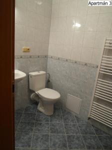 Kúpeľňa v ubytovaní Apartmány Horní Planá