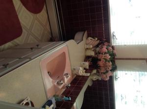 a bathroom with a pink sink and flowers on the counter at Plaza Inn in Great Falls +53 photos