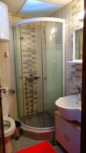 a bathroom with a shower and a toilet and a sink at Apartment Sofi Yeti in Kopaonik