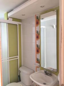 y baño con aseo, lavabo y espejo. en Conjunto Residencial la Mansion, en Santa Marta