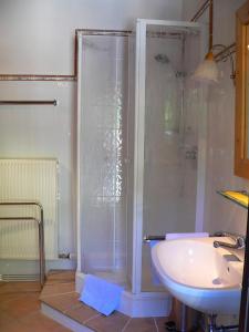 een badkamer met een douche en een wastafel bij Haus Enzian in Seefeld in Tirol