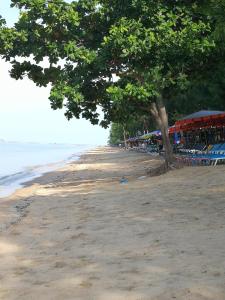 an empty beach with chairs and trees on it at Studio View Talay 5C in Pattaya South
