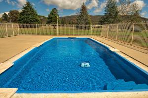 a blue swimming pool with a cat in the water at Bushman's Motor Inn in Lithgow