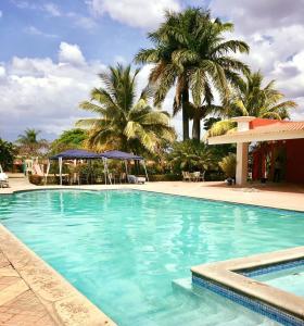 a large swimming pool with palm trees in the background at Hotel Santa Maria de Comayagua in Comayagua