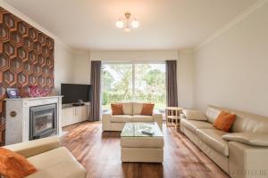 a living room with two couches and a fireplace at Holiday home Zelenachten in Zele
