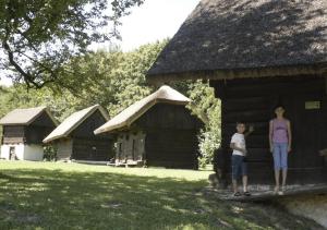 a boy and a girl standing in front of a cabin at Apartmaji Hribar Pr'Ostank in Kamnik