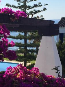 a bunch of purple flowers next to a pool at apartment by the beach in Mijas Costa