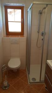 a bathroom with a shower and a toilet and a window at Glaserhof in Gerlosberg