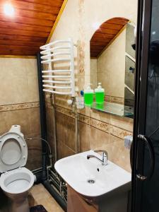 Vonios kambarys apgyvendinimo įstaigoje Guest House U Stasuka