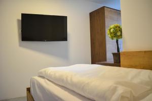 Telewizja i/lub zestaw kina domowego w obiekcie Wels Inn Hotel