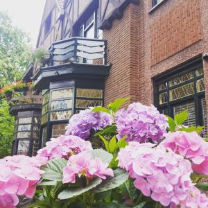 a bunch of pink flowers in front of a building at Vakantiewoning Guesthouse MOMO in Dilsen-Stokkem