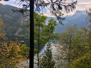 Fotografia z galérie ubytovania Landhaus Hallstättersee v destinácii Bad Goisern