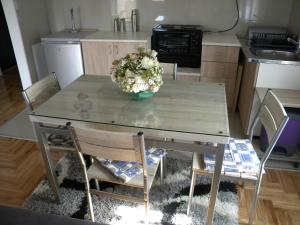 Apartment Srebrni oblak的厨房或小厨房