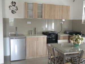Apartment Srebrni oblak的厨房或小厨房